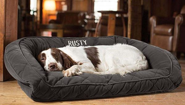 dog sleeping in personalized Orvis dog bed