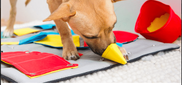 busy mat for dogs