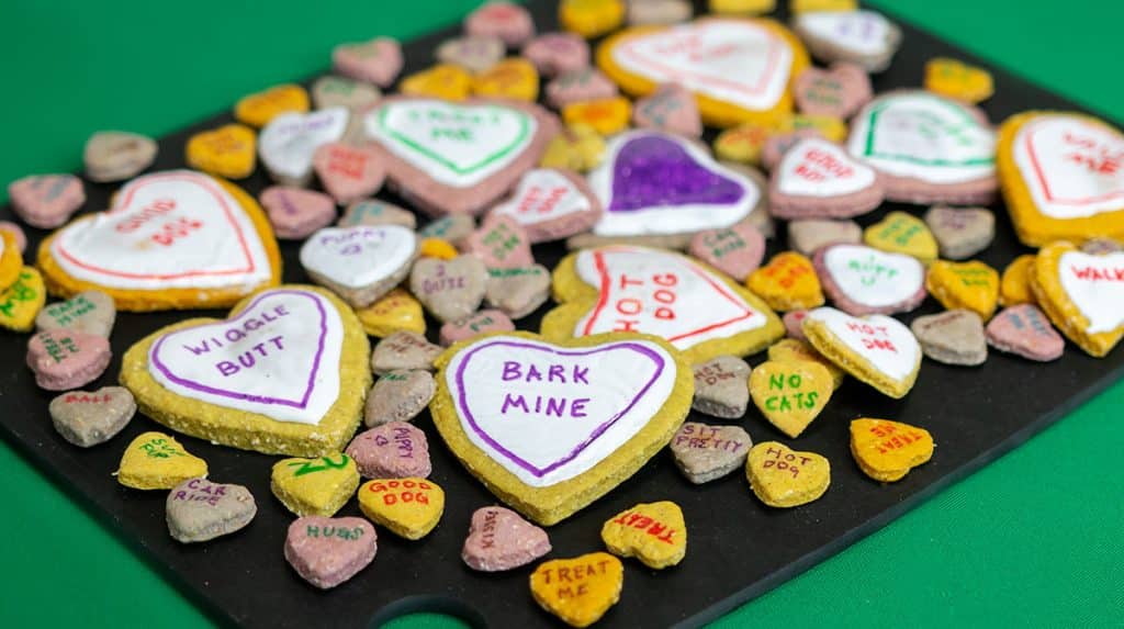 conversation heart dog cookie recipe