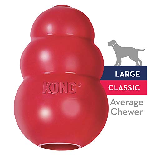 Classic KONG dog toy
