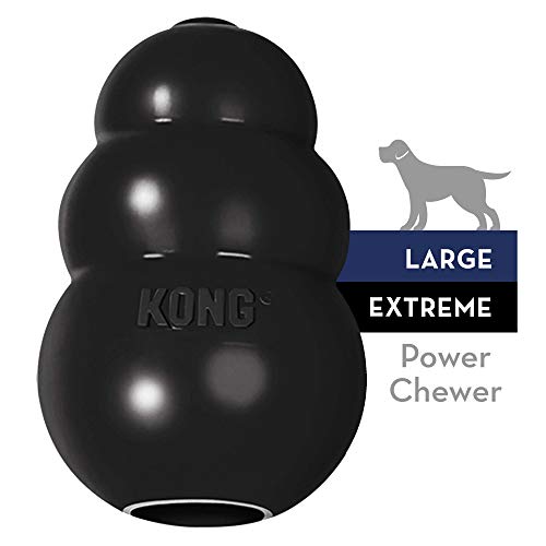 kong chew toys for puppies