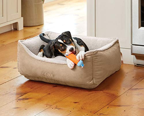 The 9 Best Orvis Dog Beds For 2019 Reviewed The Dog People By