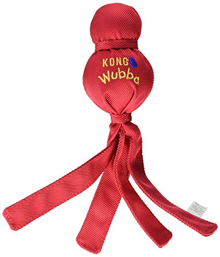 KONG Wubba toy