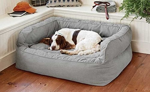 dog in couch-style Orvis bed in light gray