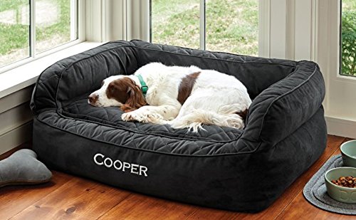 dog lying on black personalized Orvis bolstered bed