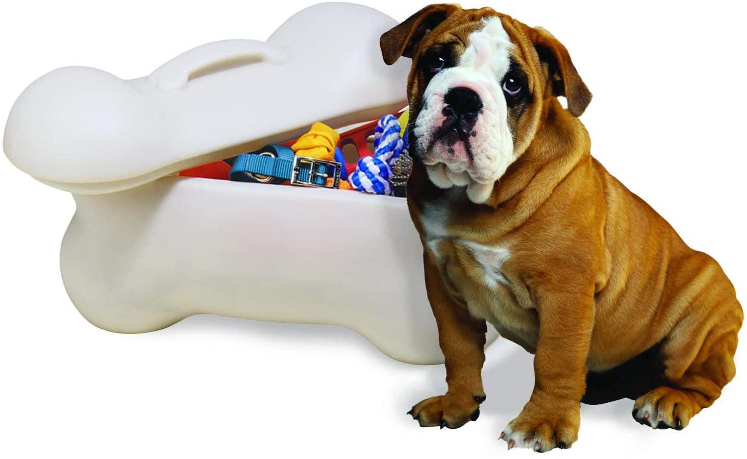 Dog Clothes Storage x 20cms 30cms x 20cms 8in 8in 12in Geyecete Canvas Dog Toy Basket Basket for Dog Toys Dog Blanket 