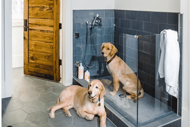 Dog Showers In Your House You Just, Outdoor Dog Wash Station