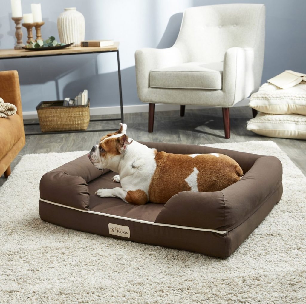 Memory Foam Dog Beds The 10 Comfiest Memory Foam Dog Beds