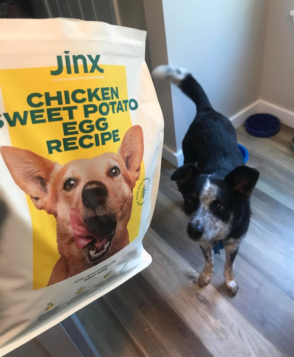 Jinx Chicken, Sweet Potato and Egg Recipe Kibble bag for dogs