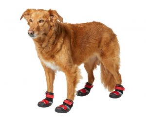 dog boots chewy