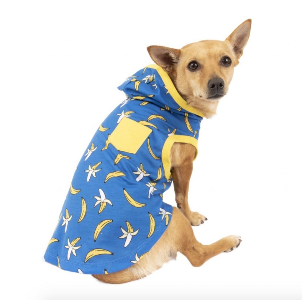 The Best Puppy Clothes for Puppies Large and Small