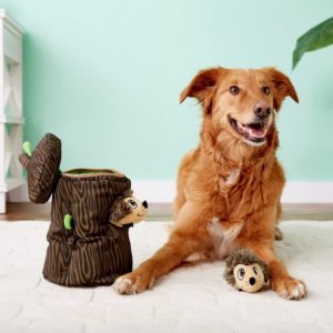 dog laying down on carpet next to Outward Hound Hide-A-Hedgie Squeaky Puzzle Plush Dog Toy, one hedgehog sticking out of log and one by paw