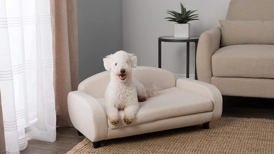 white dog on cream colored couch dog bed
