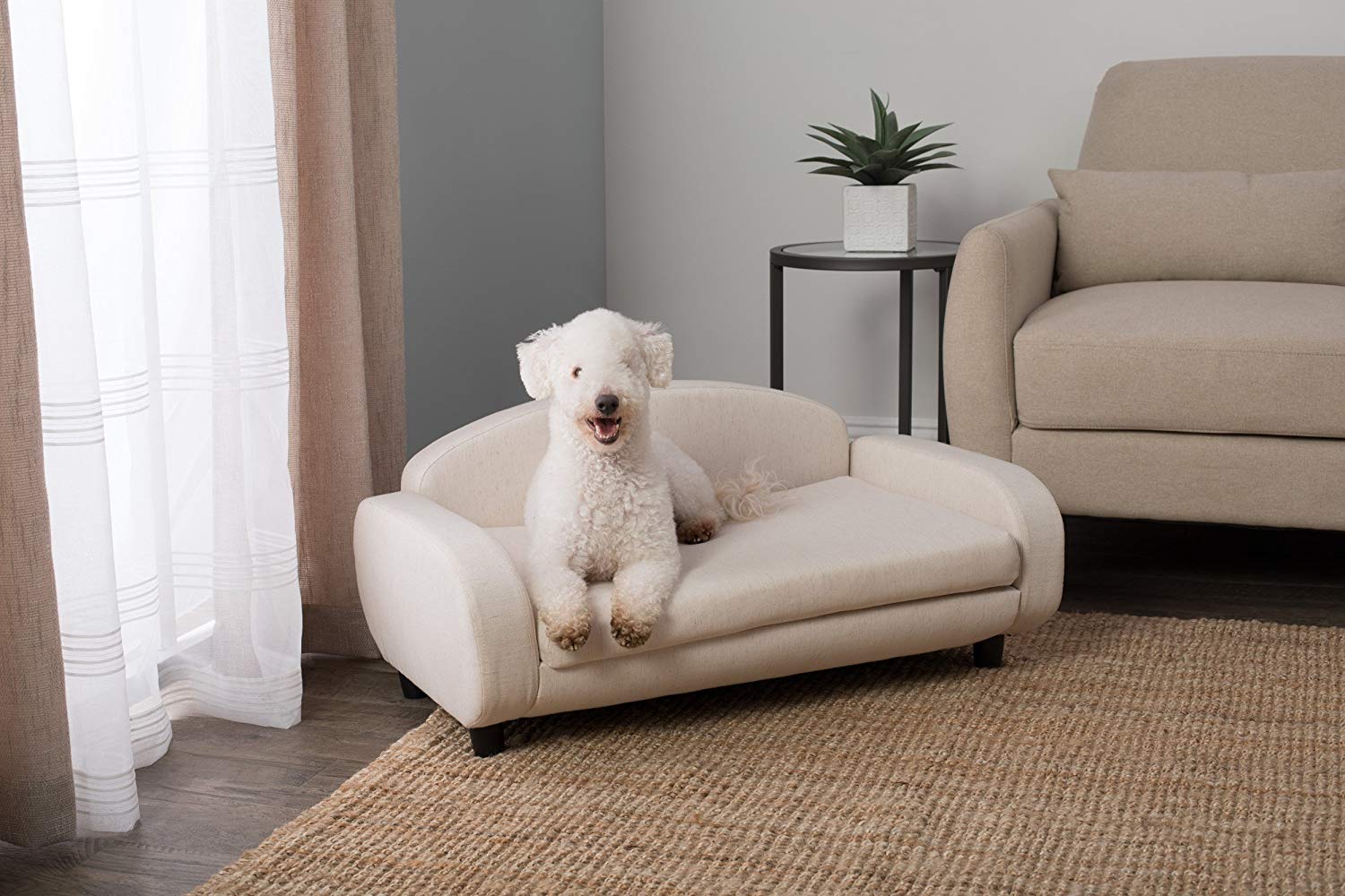 7 Best Couch Dog Beds In 2019 The Dog People By Rover Com