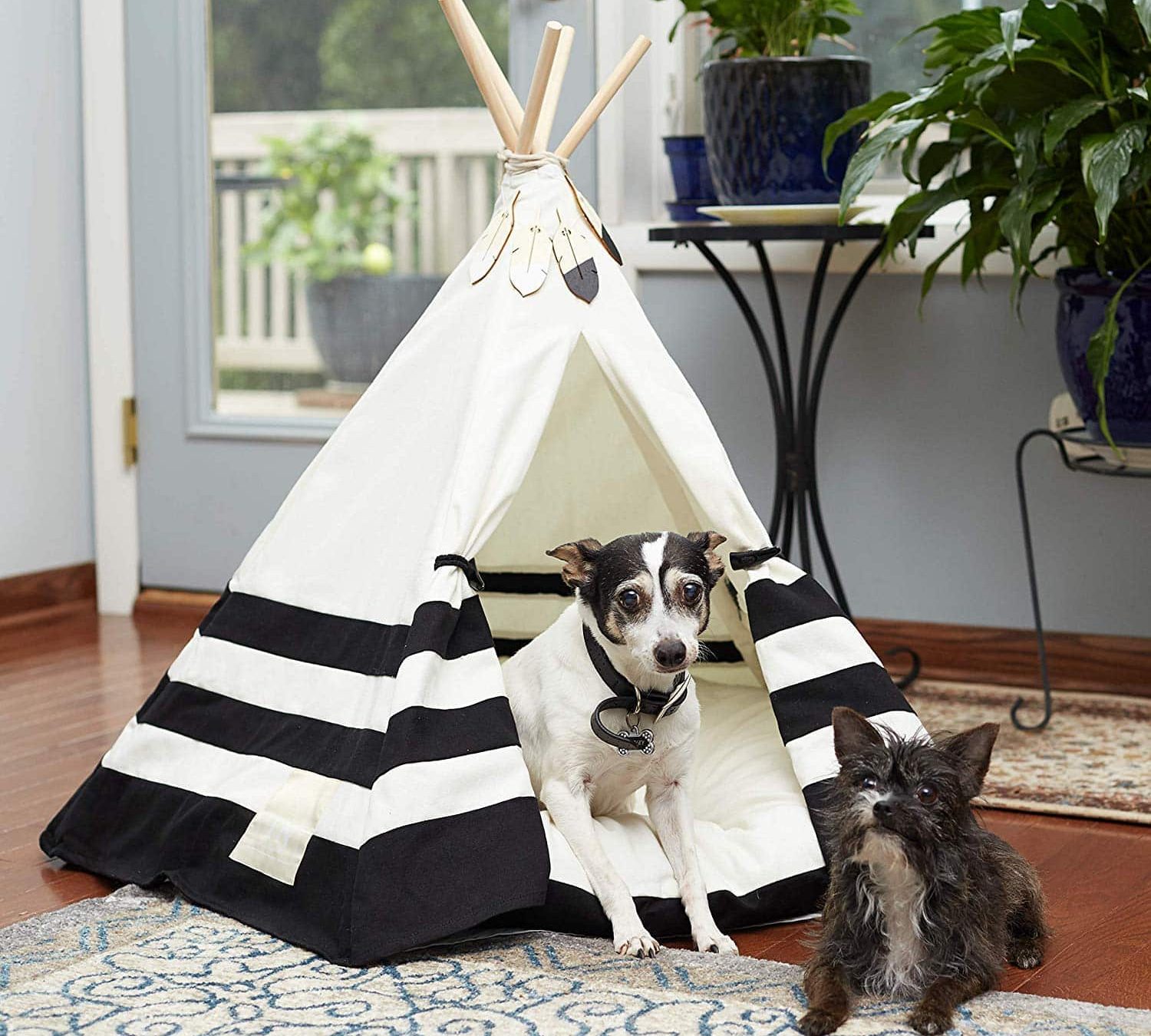 10 Cute Dog Beds You'll Actually Want 