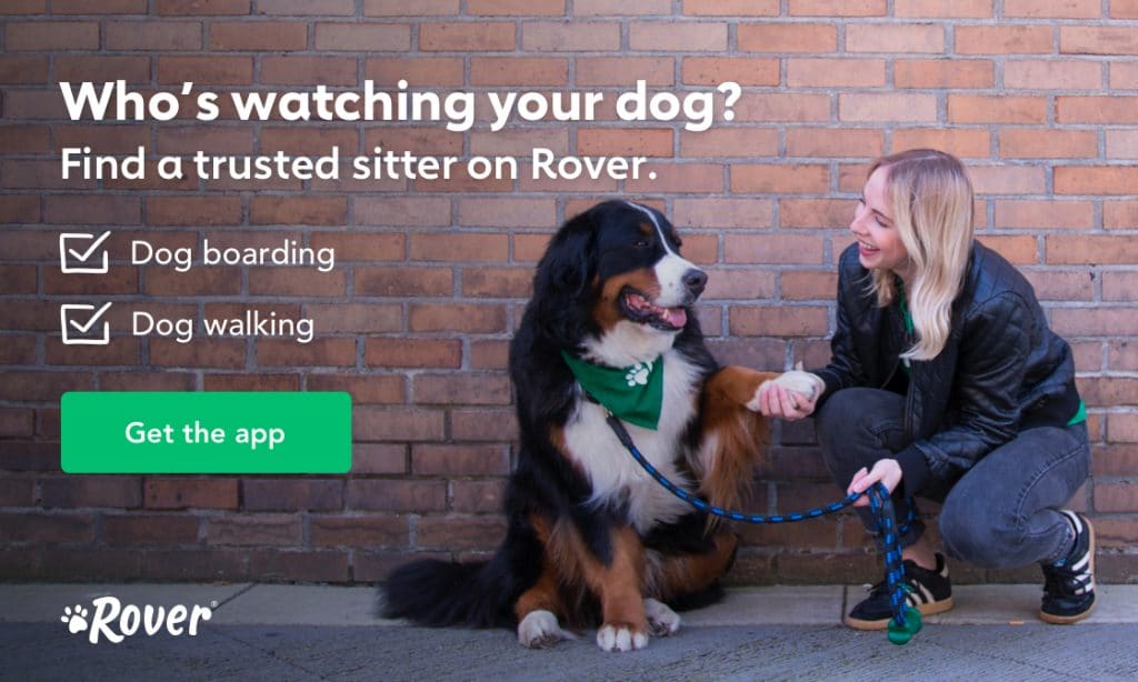 Rover pet sitters and dog walkers ad