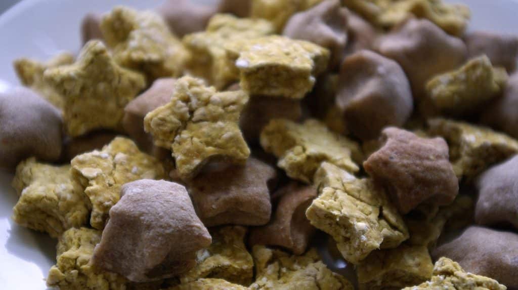 Stuck at Home? Whip Up the World's Easiest Dog Treats The Dog People