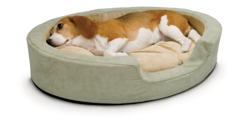 The Best Dog Beds on Amazon -- K&H