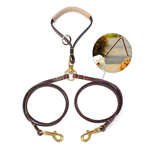 6 Best Leashes for Two Dogs in 2019 The Dog People by