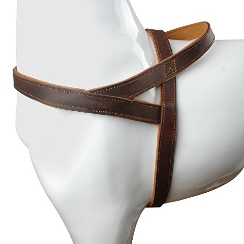 German Shepherd Harness Leather