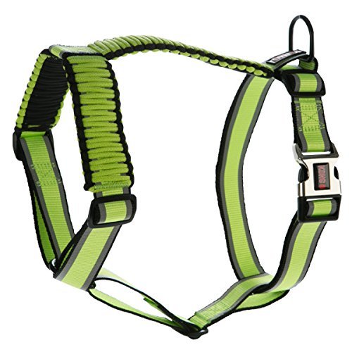 kong comfort reflective harness