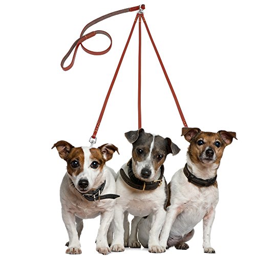 The Best ThreeDog Leashes for 2019 The Dog People by