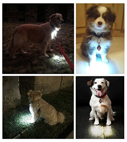 Details about   Adventure Lights Guardian Dog Signal and Safety LED Light Collar Leash Blue 