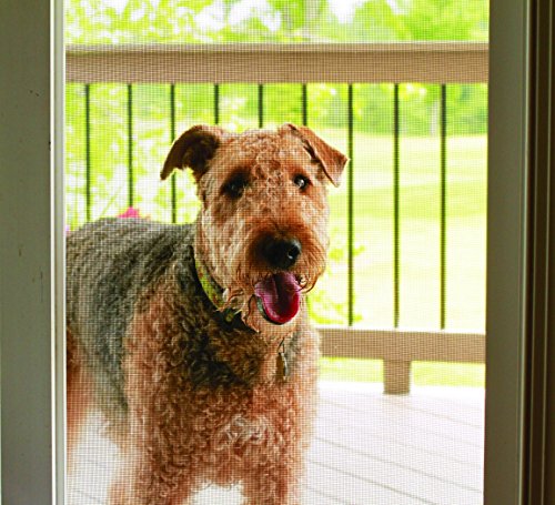 dog outside on porch looking in through Saint-Gobain ADFORS Pet Resistant Screen