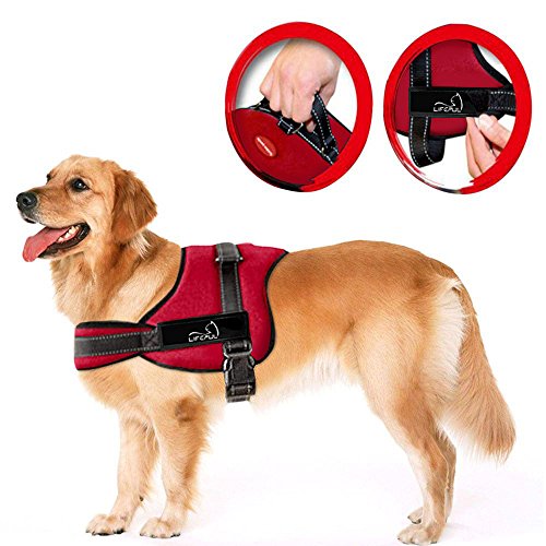 7 Best Harnesses for German Shepherds The Dog People by