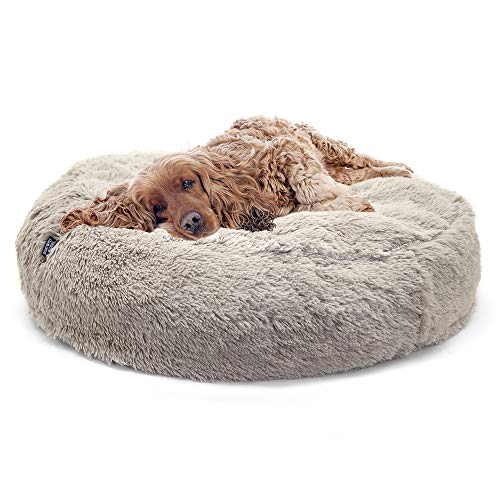 dog lying on plush fluffy round bed