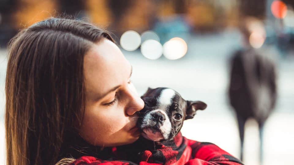 Dog Moms Take Pet Parenting Seriously, New Survey Shows | The Dog People by  Rover.com