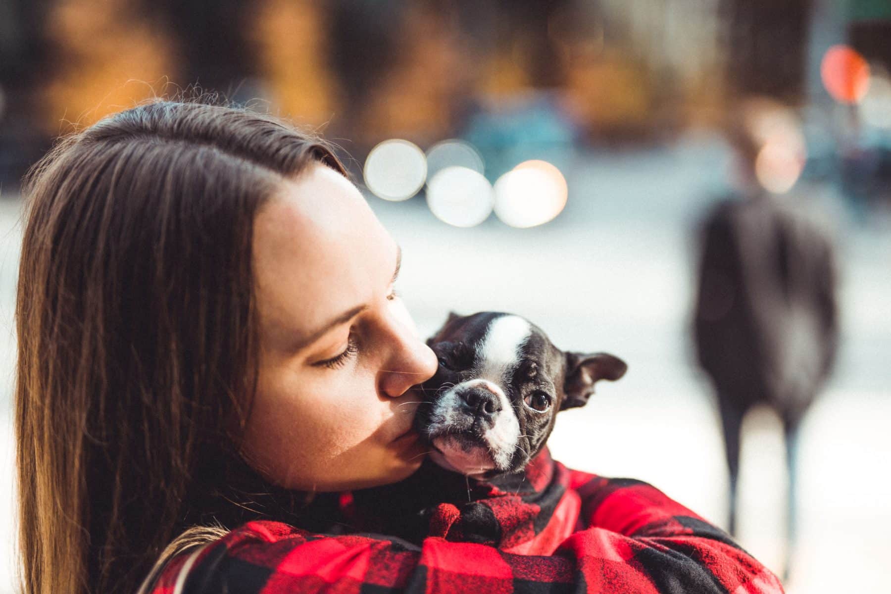 Dog Moms Take Pet Parenting Seriously, New Survey Shows The Dog