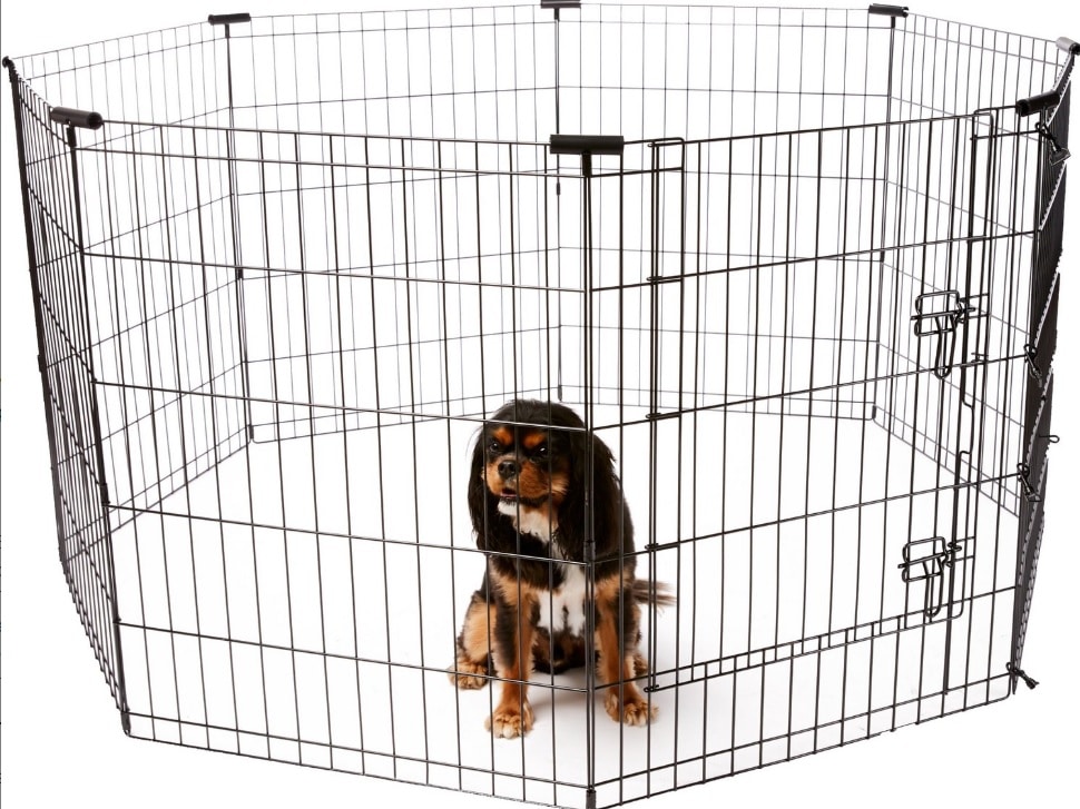 beagle training pen wire