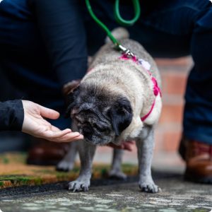 Trust & Safety | Safety is at the heart of what we do.