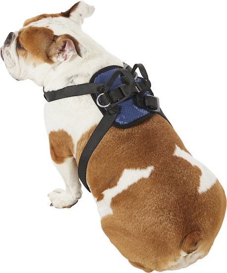 WeFine 2Pcs Dog Seat Belt Adjustable Dog Safety Harness Dog Safety Leash Leads for Travel Daily Use 