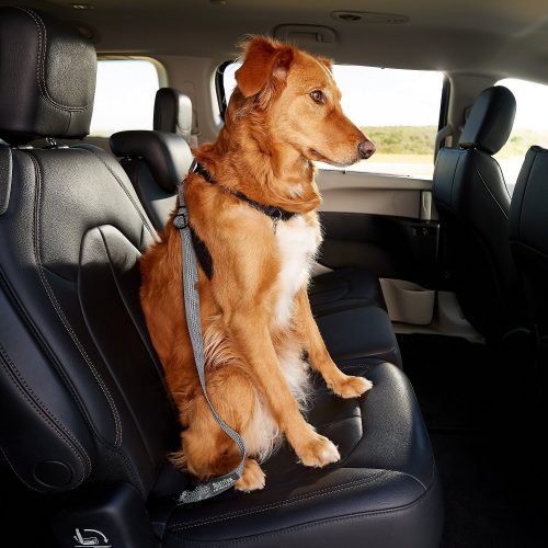 Vehicle Seatbelt Harness Attachment Black WLDOCA Universal Dog Safety Car Seat Belt Clip 