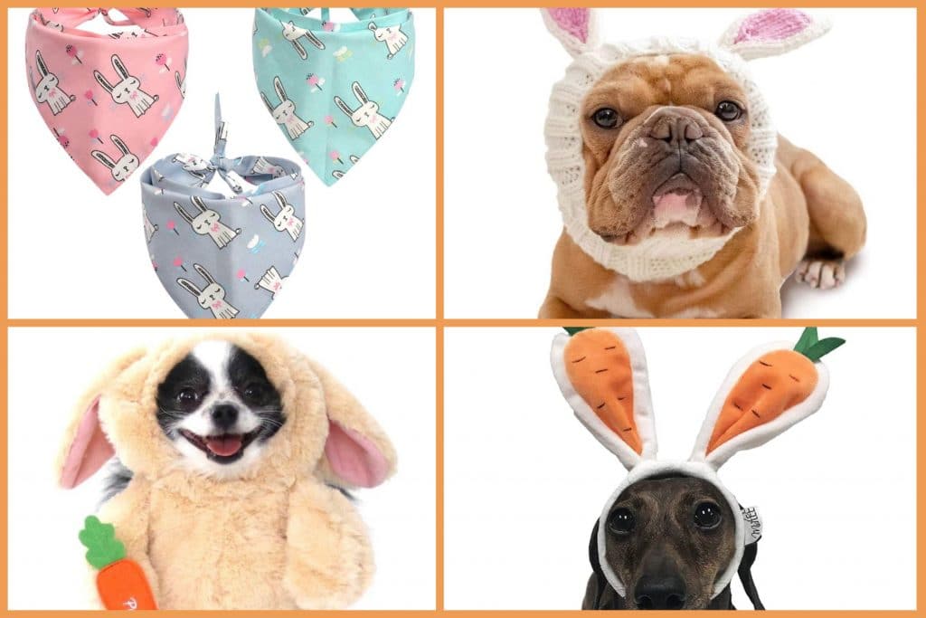Dog Easter Outfits Dog Easter Outfits Your Dog Definitely Wants to Wear