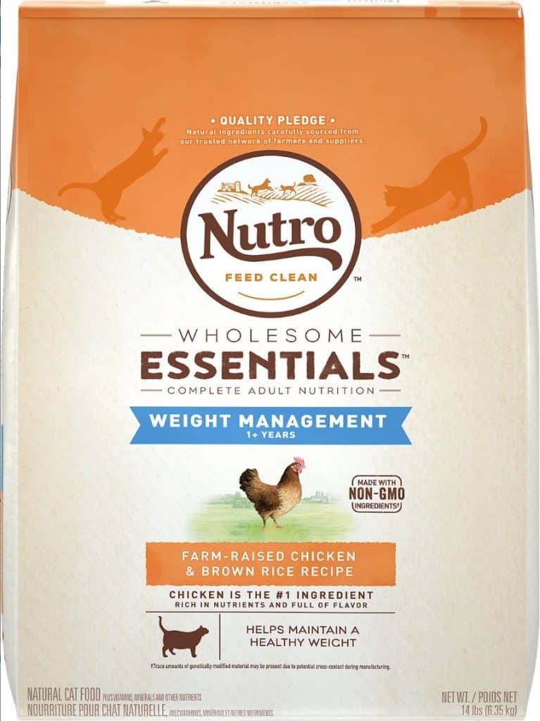 11 Top Cat Foods for Weight Loss that Your Kitty Will Actually Eat