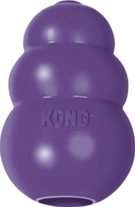Kong Senior dog toy purple
