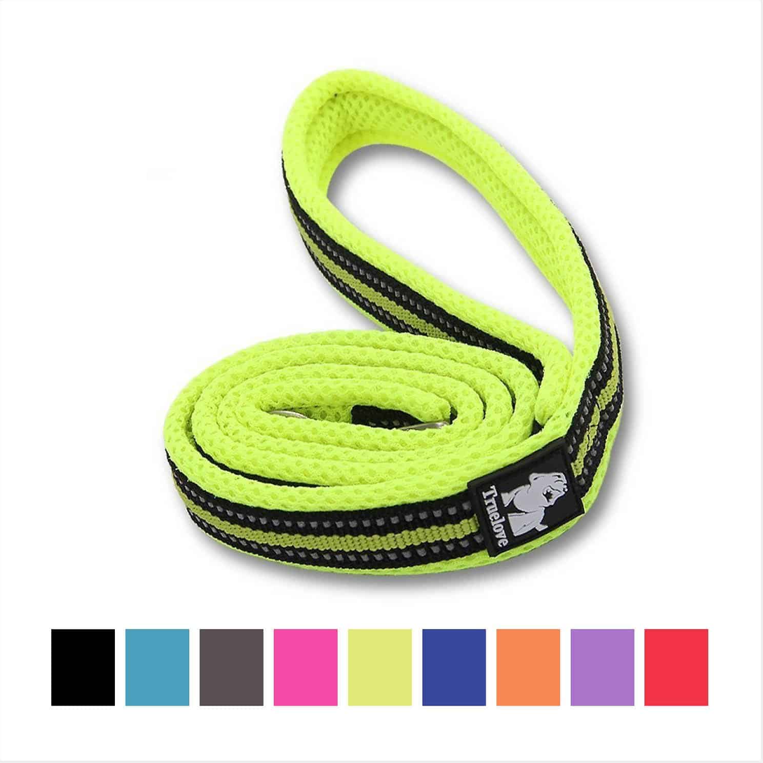 Leashes for Big Dogs The 17 Best Leashes To Walk Your Lovable Giant