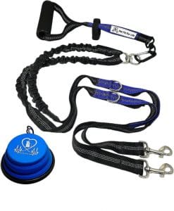 dog leash double handle