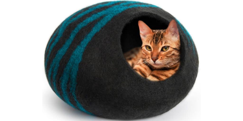 chewy cat cave