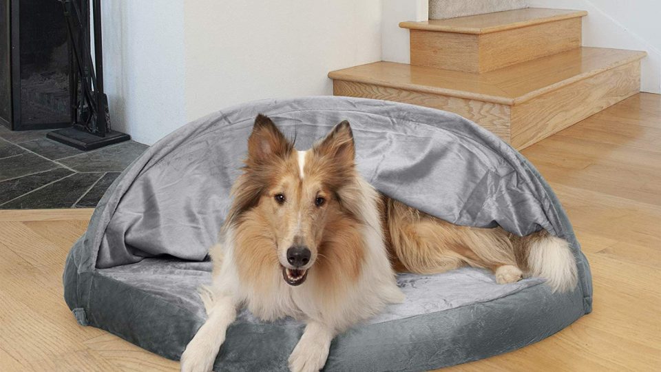 Our 6 Favorite Cave Dog Beds for 2019 The Dog People by