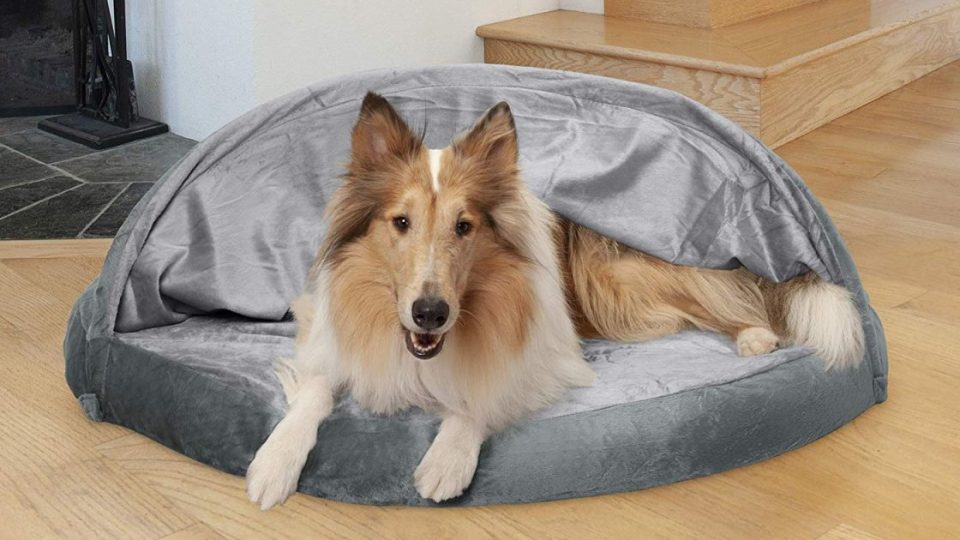Cave Dog Beds | 5 Cozy Retreats to Make Your Dog Feel Safe