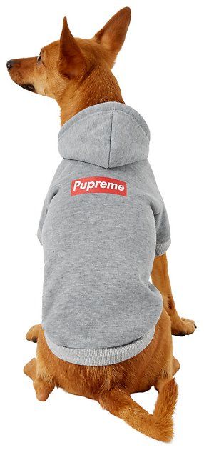 doggy and me outfits