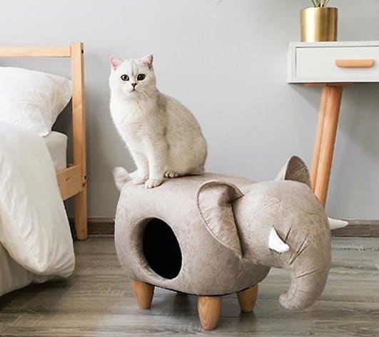 The Best Cave Cat Beds For Your Kitty To Curl Up In