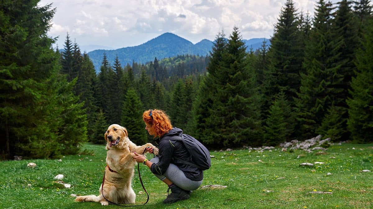 Best DogFriendly Hikes in Canada The Dog People by