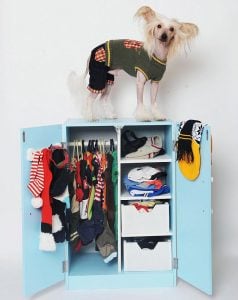 Emma Buttarazzi aus Loughborough, Leics, mit ihrem Hund “Prince”. Sie hat Tausende von Pfund für Kleidung, Spielzeug und sogar für einen Kinderwagen für ihren Liebling ausgegeben. Auf dem Foto ist Prince mit seinem Kleiderschrank voller Hundebekleidung zu sehen.