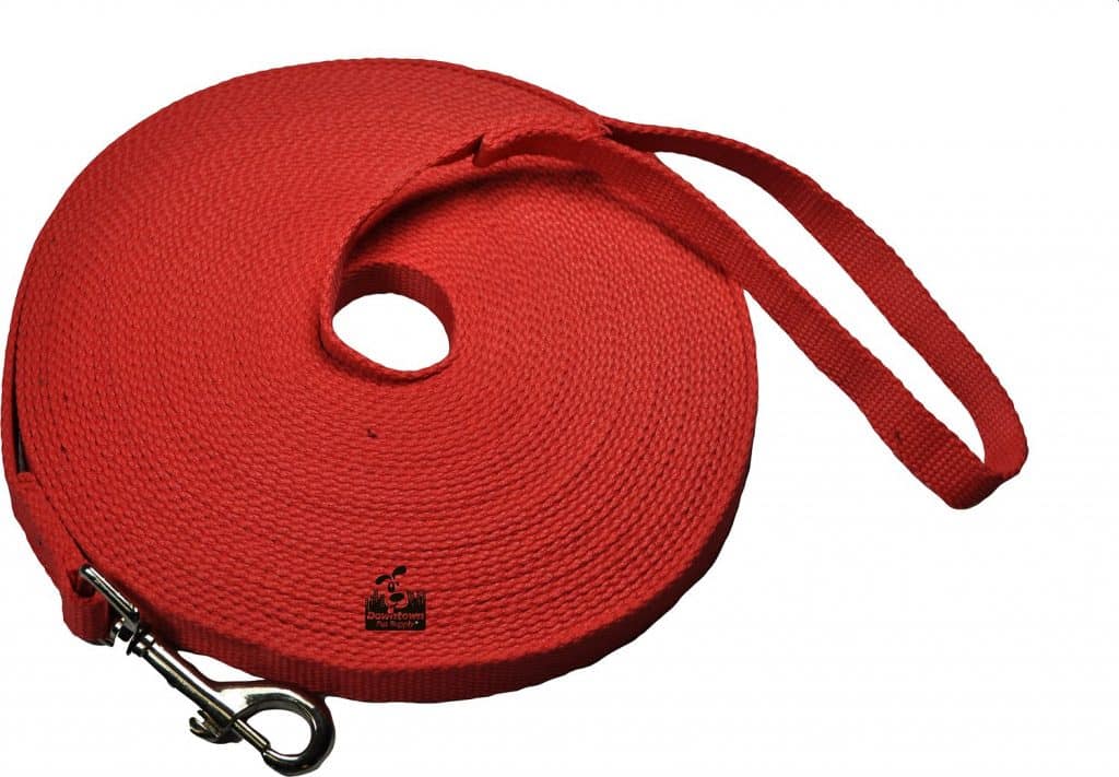 The 5 Best Yard Leashes for Dogs in 2019 - Dog Understand