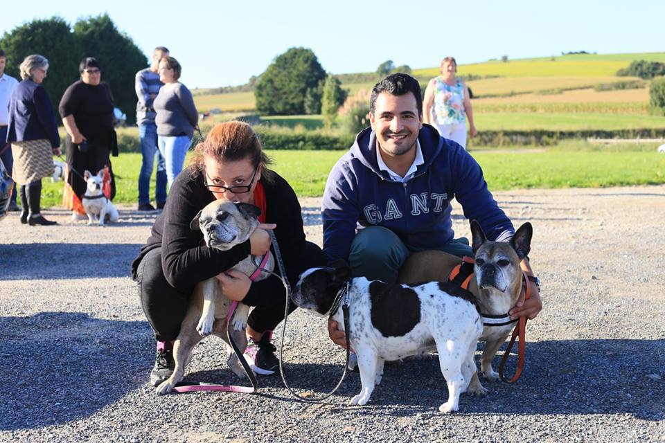 famille d’accueil chien